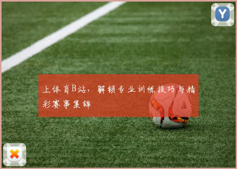 上体育B站,解锁专业训练技巧与精彩赛事集锦